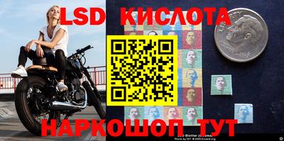 дмт Будённовск