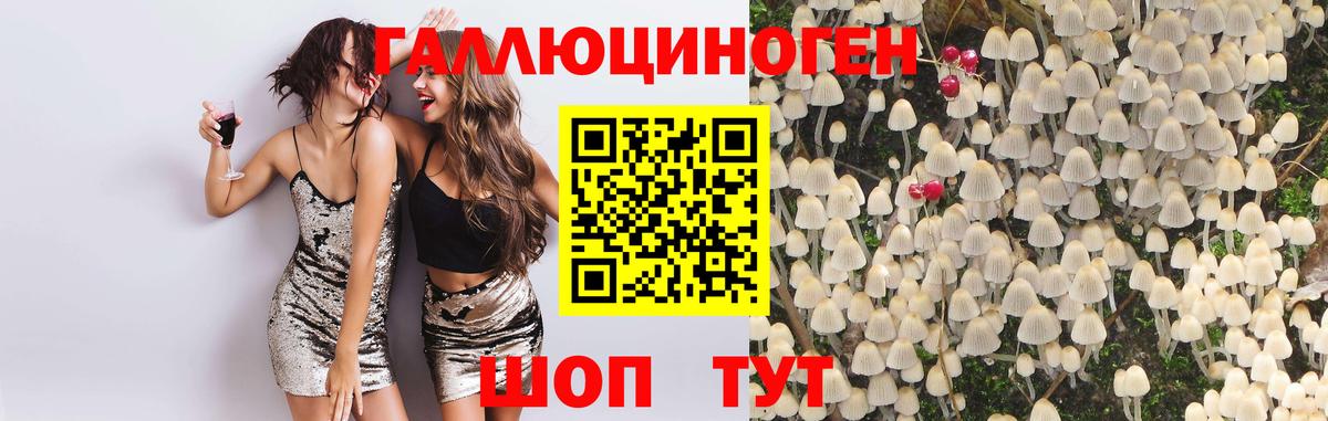 Кунгур  Галлюциногенные грибы мицелий  Вход с VPN 