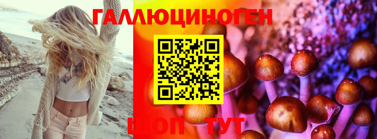 Галлюциногенные грибы MAGIC MUSHROOMS Кунгур